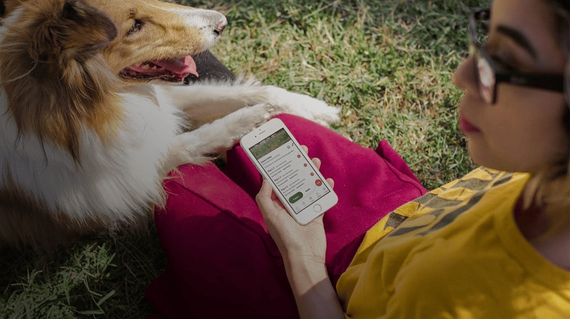 A woman using the Breedera app on her phone outdoors with her dog